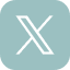 X icon